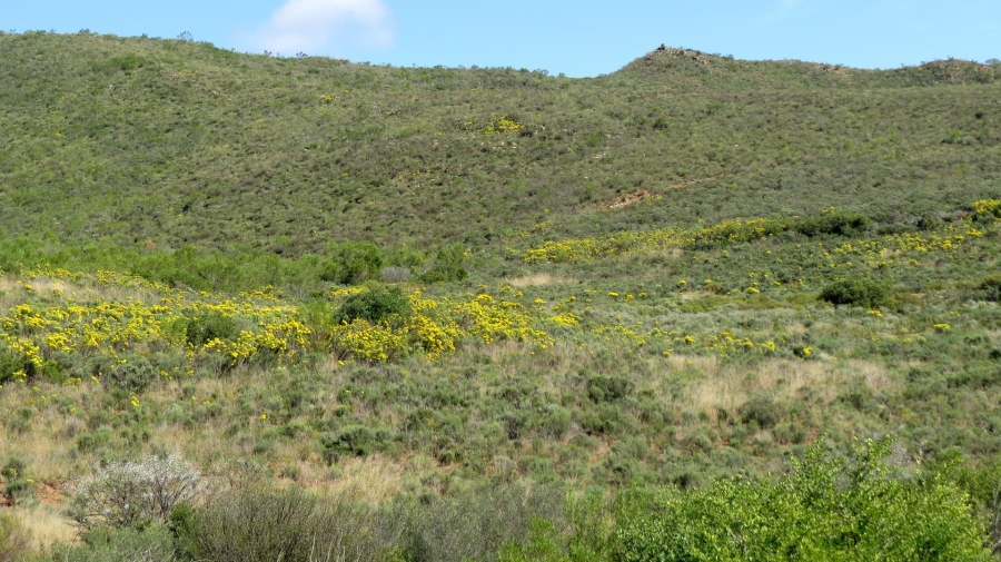 Commercial Property for Sale in Swellendam Rural Western Cape